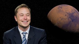 Elon Musk rompe con Trump por su ley fiscal: 'Me decepcionó'