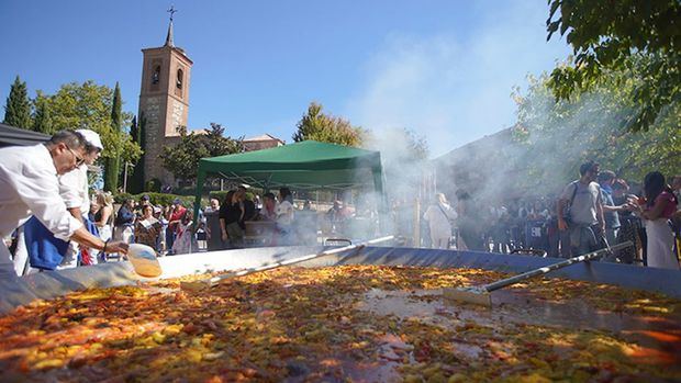 Planes del 3 al 5 de octubre en la Comunidad de Madrid: cultura en las calles, grandes conciertos y actividades al aire libre