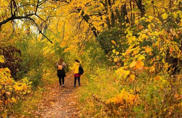 Actividades juveniles en San Sebastián de los Reyes para diciembre