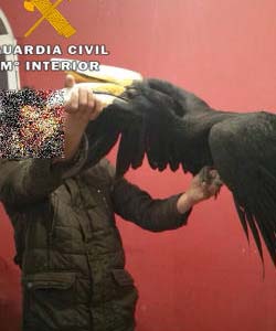 Málaga: Recuperan parte de una colección de aves exóticas robadas en la finca de El Retiro