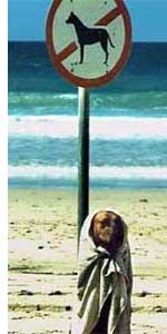 Los municipios del litoral de Málaga no podrán tener playas para perros
