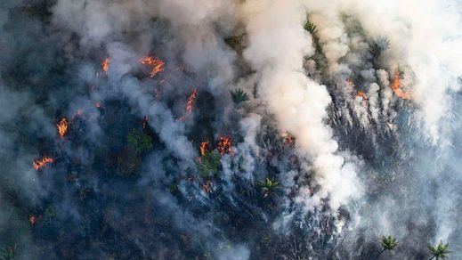 España ofrece ayuda a Brasil, Argentina, Bolivia y Paraguay por el incendio del Amazonas