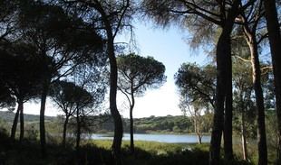Andalucía moderniza su legislación ambiental con nuevas leyes clave