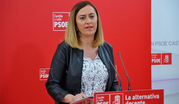 El PSOE presenta precandidatos únicos en las capitales y municipios de más de 20.000 habitantes con dos caras nuevas