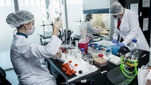 Mientras muchos siguen desafiando al virus, el país superó las diez mil muertes y los quinientos mil contagios