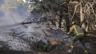Plan de Recuperación del Paisaje en la Sierra Oeste tras los incendios en 17 municipios