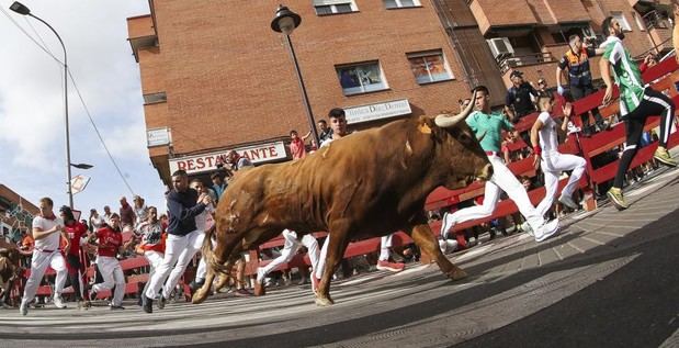 Sexto encierro de toros en San Sebastián de los Reyes genera tensión y emoción
