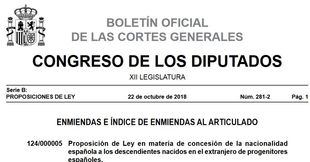 El CRE Buenos Aires manifestó su “total disconformidad” a las enmiendas presentadas por el PSOE a la Ley de Nacionalidad