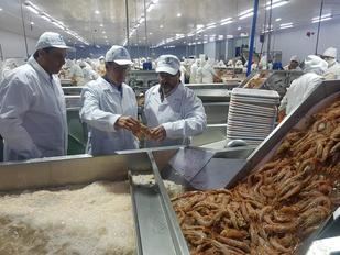 El sector pesquero pide a Feijóo que solicite a las autoridades argentinas la mejora de la operatividad del muelle de Puerto Madryn