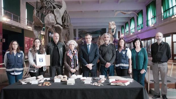La Aduana frustró el contrabando a España de una colección de 6.400 fósiles