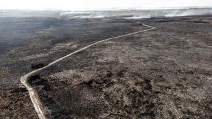 Se abrieron más de 70 causas por denuncias de incendios rurales intencionales en Corrientes