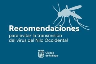 El Ayuntamiento refuerza la vigilancia ante el Virus del Nilo