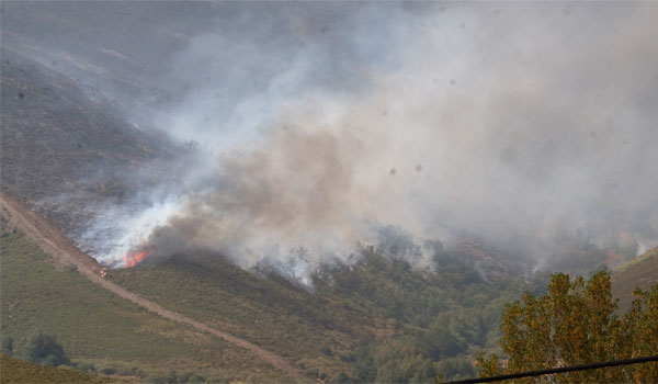 La Junta espera controlar el incendio de Encinedo en los próximos días tras consecuencias 