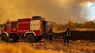 Madrid destina 300.000 kilos de forraje para ganaderos afectados por incendios