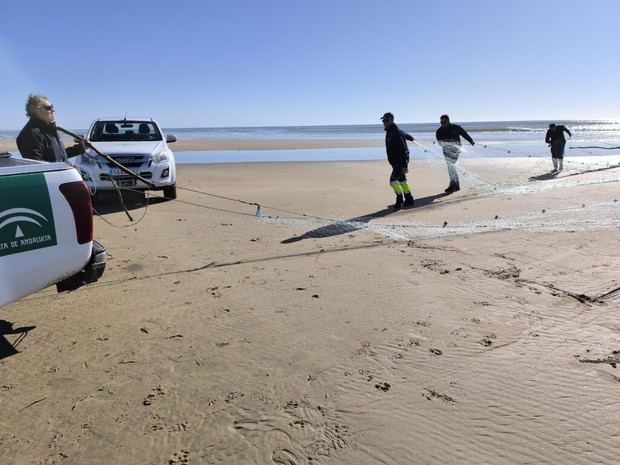 Andalucía intensifica la lucha contra la pesca ilegal en Huelva