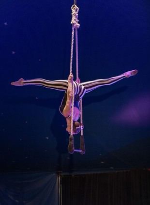 Siete funciones de teatro y circo en mayo en Málaga
