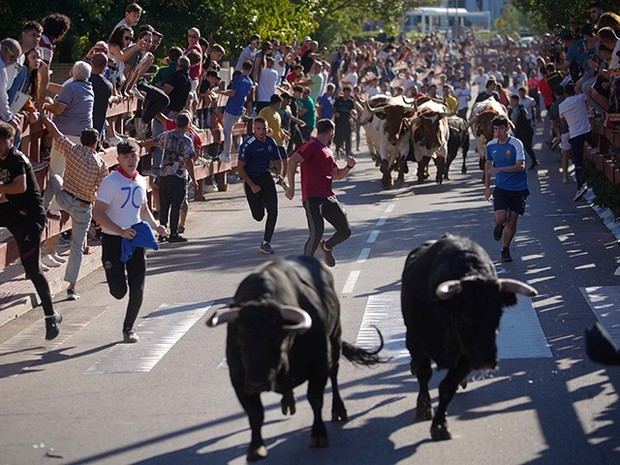 Las Rozas celebra las Fiestas de San Miguel con música y actividades familiares este fin de semana