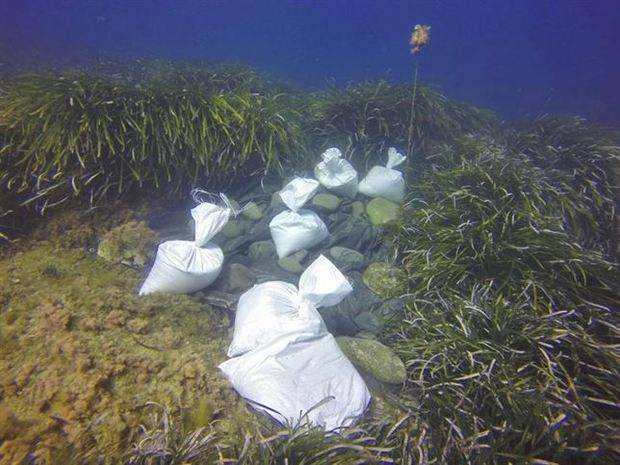 La Junta ensaya un dispositivo contra un alga invasora en fondos marinos de Cabo de Gata