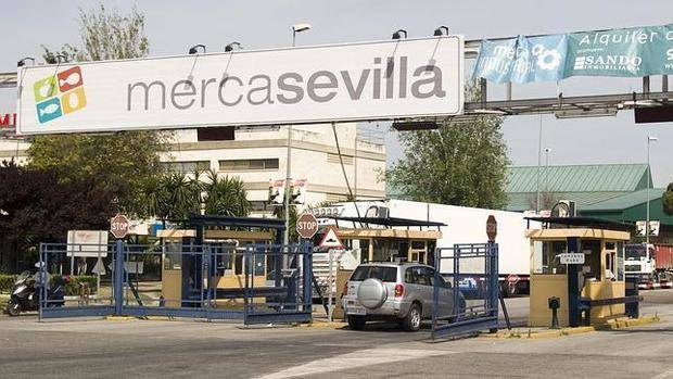 Anticorrupción pide imputar a 12 miembros de comité de empresa de Mercasevilla