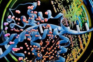 MIT utiliza IA para reducir costos en la producción de fármacos proteicos