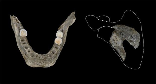 Evidencias revelan que el canibalismo era común en humanos hace 18.000 años