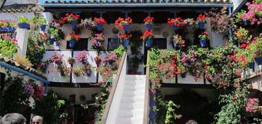 La Fiesta de los Patios de Córdoba vuelve al tradicional libre acceso sin pases