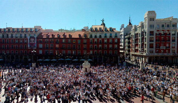 Centenares de personas reivindican en Valladolid 