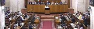 El Parlamento debate si crea una comisión de investigación sobre formación