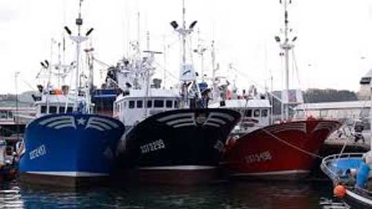 Operación contra la pesca de inmaduros en el puerto de Málaga