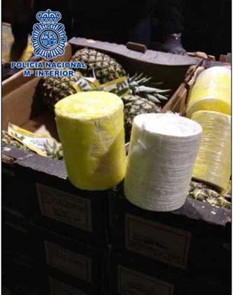 Intervenidos en Algeciras unos 200 kilos de cocaína en el interior de piñas frescas