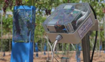 Diseñan una red de riego 'inteligente' para una gestión personalizada del agua en los cultivos