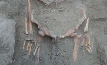 Descubren en Morón restos óseos de origen humano en la zanja de unas obras