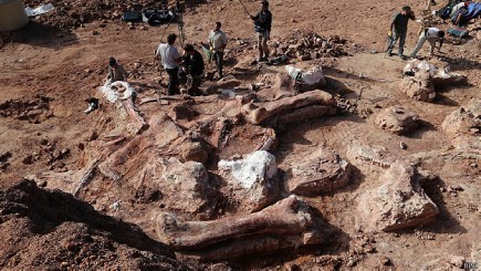 Descubre restos de dinosaurio en la Patagonia argentina