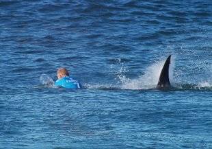 Australiano califica de 'milagro' salir ileso del ataque de tiburón