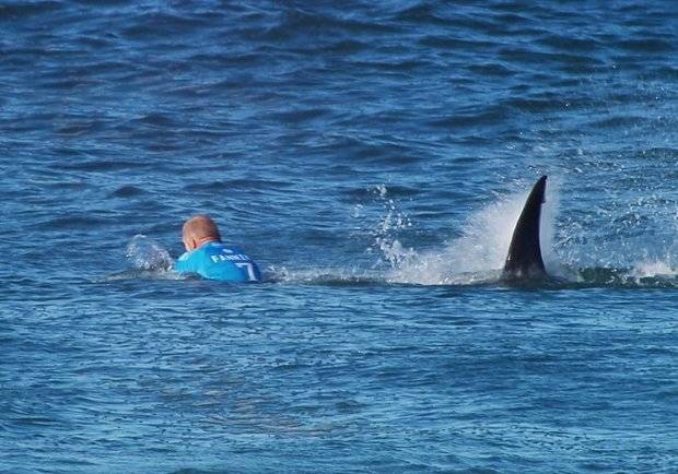 Australiano califica de 'milagro' salir ileso del ataque de tiburón