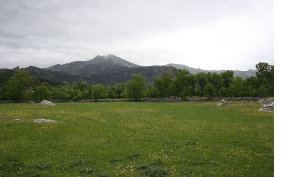 Caza en Becerril de la Sierra: Fechas y recomendaciones para 2025-2026