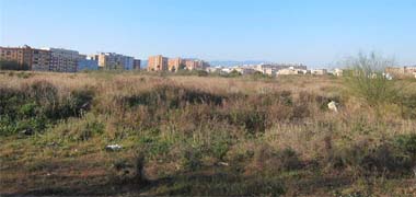 Geógrafos aplauden la idea de un bosque urbano en los terrenos de Repsol en Málaga y ofrecen su colaboración