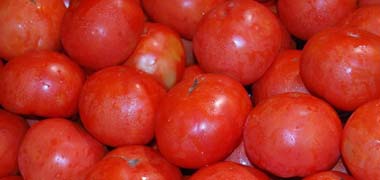 Granada: Las altas temperaturas provocan superproducción de productos hortofrutícolas y una reducción de los precios