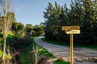 Boadilla del Monte estrena senda de 4 km para ciclistas y peatones