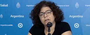 Vizzotti informó que 